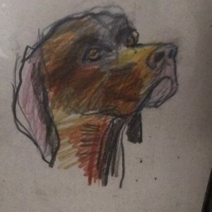 Meet your Posher, Gina